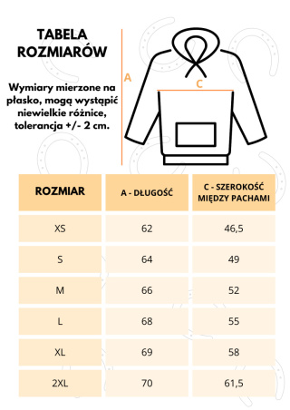 Bluza z haftem - końskie głowy