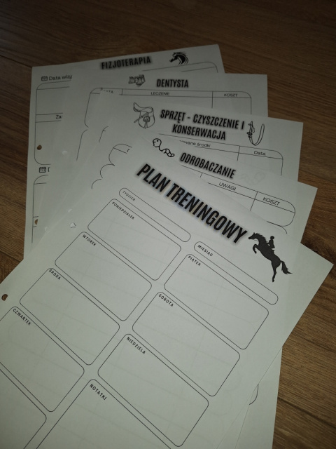 Organizer